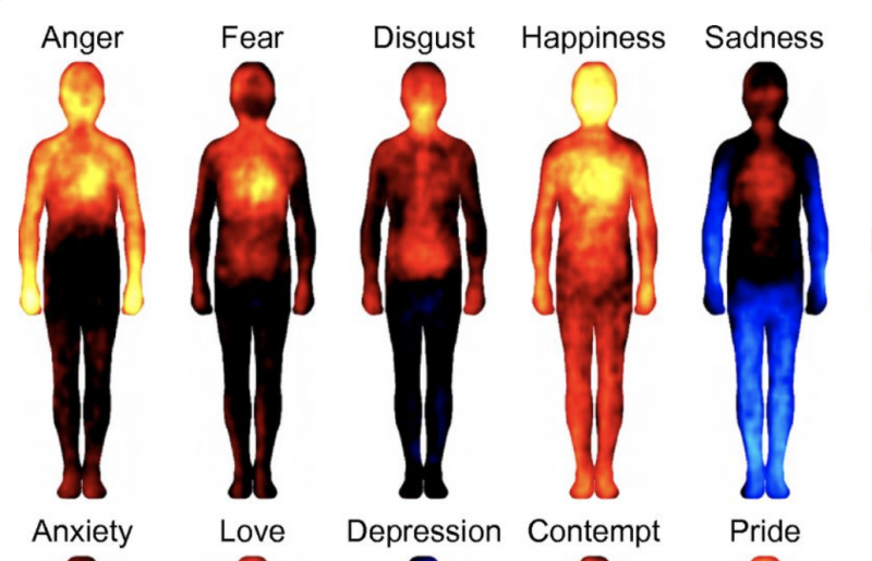 Mapping Emotions